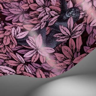 Колекція Fornasetti Senza Tempo II, 123/10048