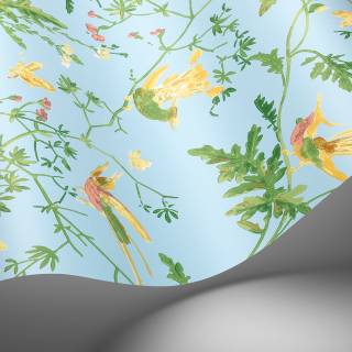 Колекція Selection of Hummingbirds, 124/1004