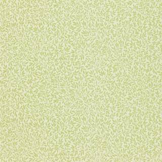 Колекція Compilation, DCMW216833