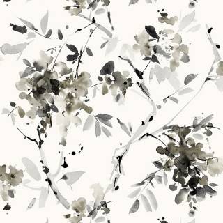 Колекція Alouette, at50200 Колекція Alouette, at50200