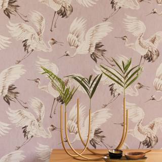 Колекція Oasis, 317352 Колекція Oasis, 317352