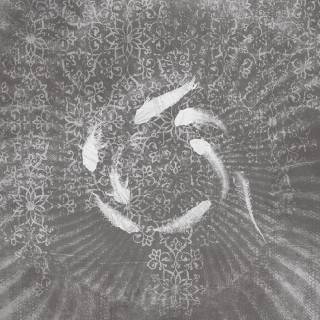 Коллекция Violet Collection, MU11090