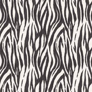 Коллекция  Piano, WH40216