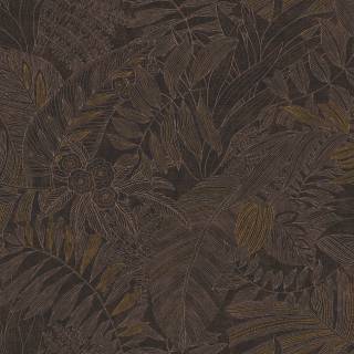 Колекція Ray, RAY205