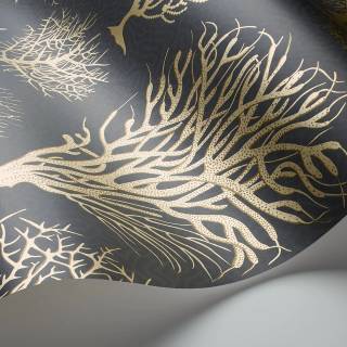 Коллекция Curio, 107/2006 Коллекция Curio, 107/2006