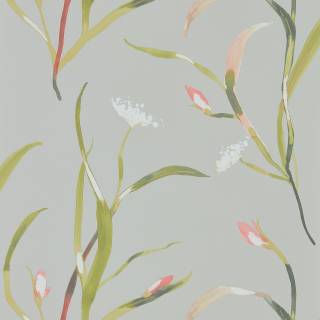 Коллекция Colour 2, HZAP111756