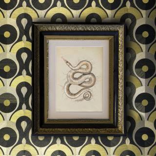 Колекція Memento Moooi, MO4012