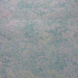 Колекція Pasha, W6757-01