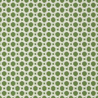 Коллекция  Palm Grove, T13957