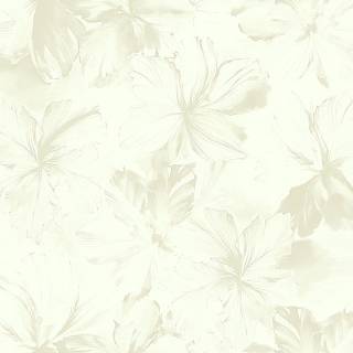 Колекція Edition 2, cb22707