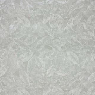 Коллекция  Pasha, W6752-04