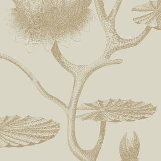 Колекція The Contemporary Selection, 95/4019 Колекція The Contemporary Selection, 95/4019