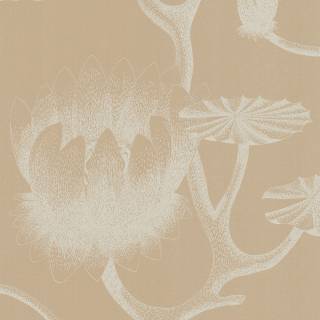 Колекція The Contemporary Selection, 69/3113