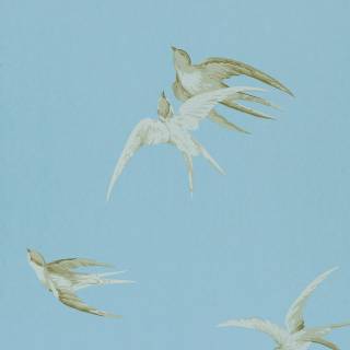 Коллекция One Sixty, DVIWSW103