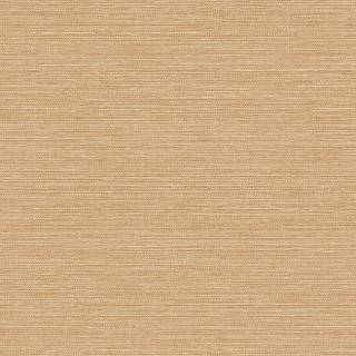 Коллекция Amber, WF20016