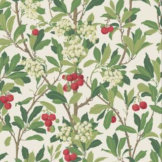 Коллекция Archive Anthology 100/10049