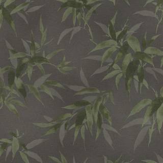 Колекція Kimono, 409772 Колекція Kimono, 409772