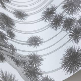 Колекція Shinrin Yoku, 126/6019 Колекція Shinrin Yoku, 126/6019