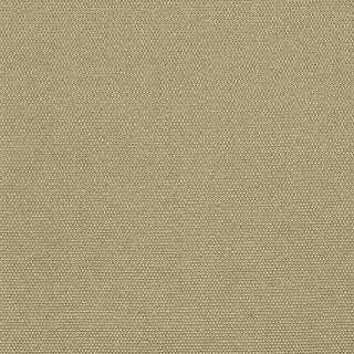 Колекція Jacquard, HED2059