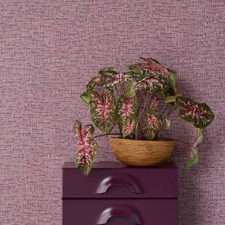 Колекція Groovy, 340534