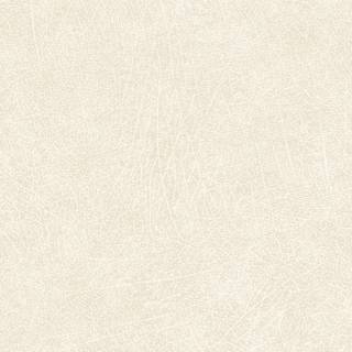 Коллекція Skin, 300510