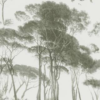 Коллекция  History of Art, 376512 Коллекция  History of Art, 376512