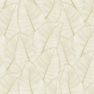 Колекція Graphite, RM91605