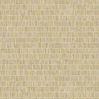 Колекція More Textures, TC70006