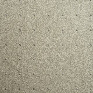 Колекція Ted Baker, 14058W9978003