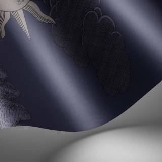 Колекція Fornasetti Senza Tempo II, 123/3013