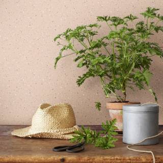 Коллекция  Anno, 4512