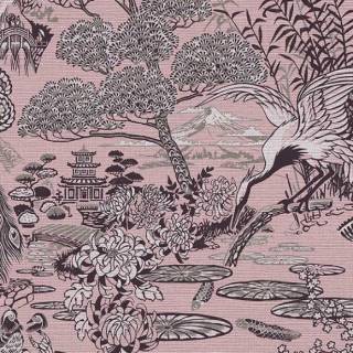 Колекція Curiosa, 13501