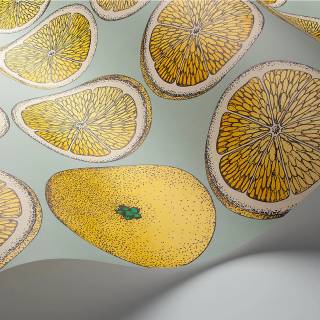 Колекція Fornasetti Selection, 114/24048