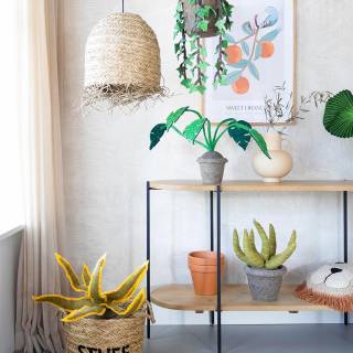 Коллекция  Oasis, 317300