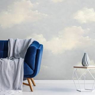 Колекція Transition, fj30901