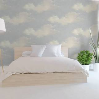 Колекція Transition, fj30901