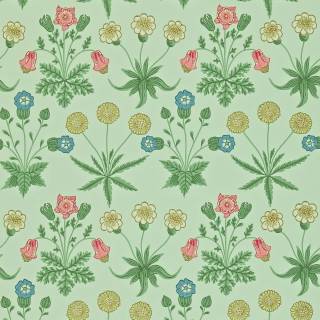 Коллекция Archive II, DARW212559