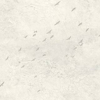 Колекція Transition, fj31005