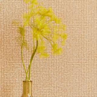 Колекція Lounce, 388725 Колекція Lounce, 388725