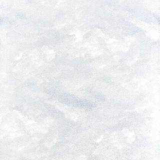 Коллекция Fabricut, 50388W6064101