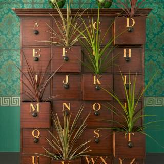 Коллекция Mariinsky Damask, 108/4016