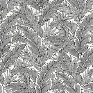 Колекція Black & White, uk10005