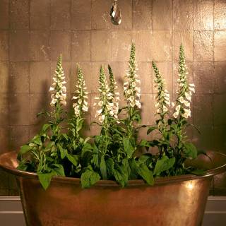 Колекція Mariinsky Damask, 92/2010