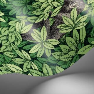 Колекція Fornasetti Senza Tempo II, 123/10049