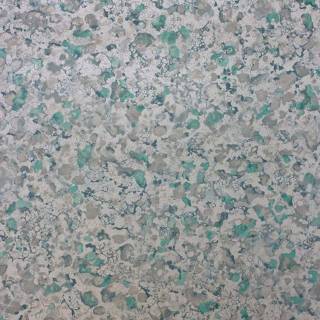 Коллекция  Pasha, W6751-03