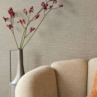 Коллекция  Artifact, 312422