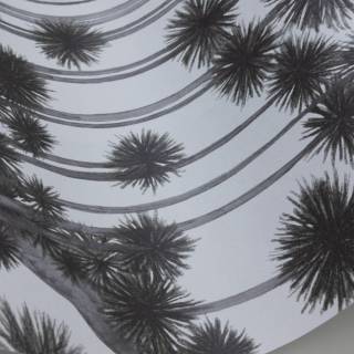 Колекція Shinrin Yoku, 126/6018