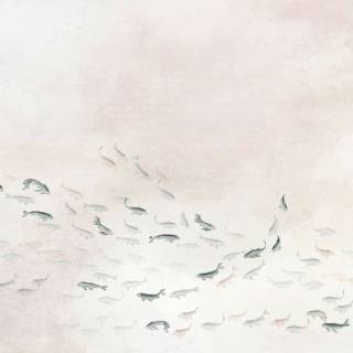 Коллекция  Aracne, A00326