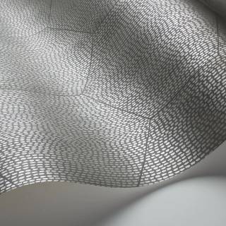 Колекція Curio, 107/6031