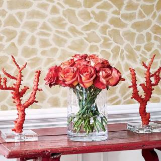 Колекція Colony, T10223